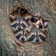 Imposter