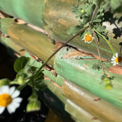 Pacing the Platform 31 w/ upsammy on NTS (27.11.25)