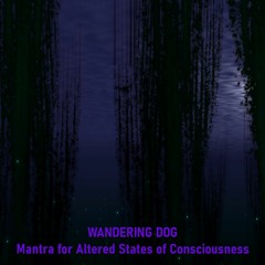 Mantra For Altered States Of Consciousness (Part 1 - Activation)