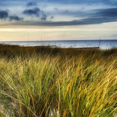 Una Mattina - Ludovico Einaudi from The Intouchables (piano cover)