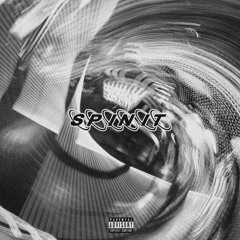 T Hill Spin It