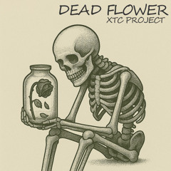 Dead Flower ( Original Mix )