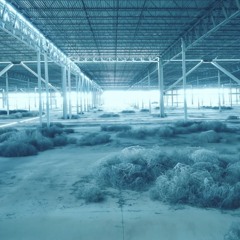 タンブルウィード (Tumbleweed)