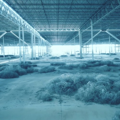 タンブルウィード (Tumbleweed)