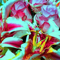 bay area love (remastered) [prod. Jay M] (stats disabled)