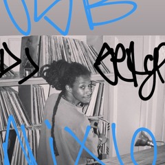 USB Mix 6 - Dj Serge Negri
