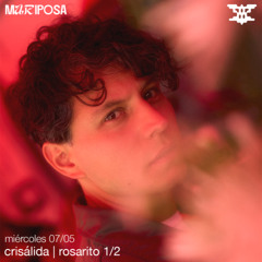 Rosarito 1/2 - Crisálida