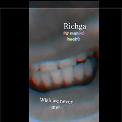 i wish we never met