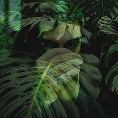 RIZOM_ECHOES 001 | IMPURE SECRETION