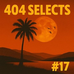 404 Selects #17