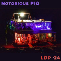Notorious PIG - Live@LDP24
