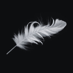 Down Feather