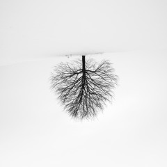 A Distant