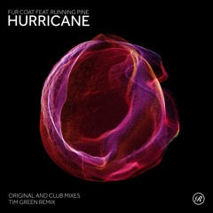 Hurricane ft. Running Pine (Original Mix)