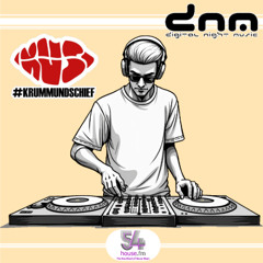 Digital Night Music pres. Krumm & Schief Edition 436