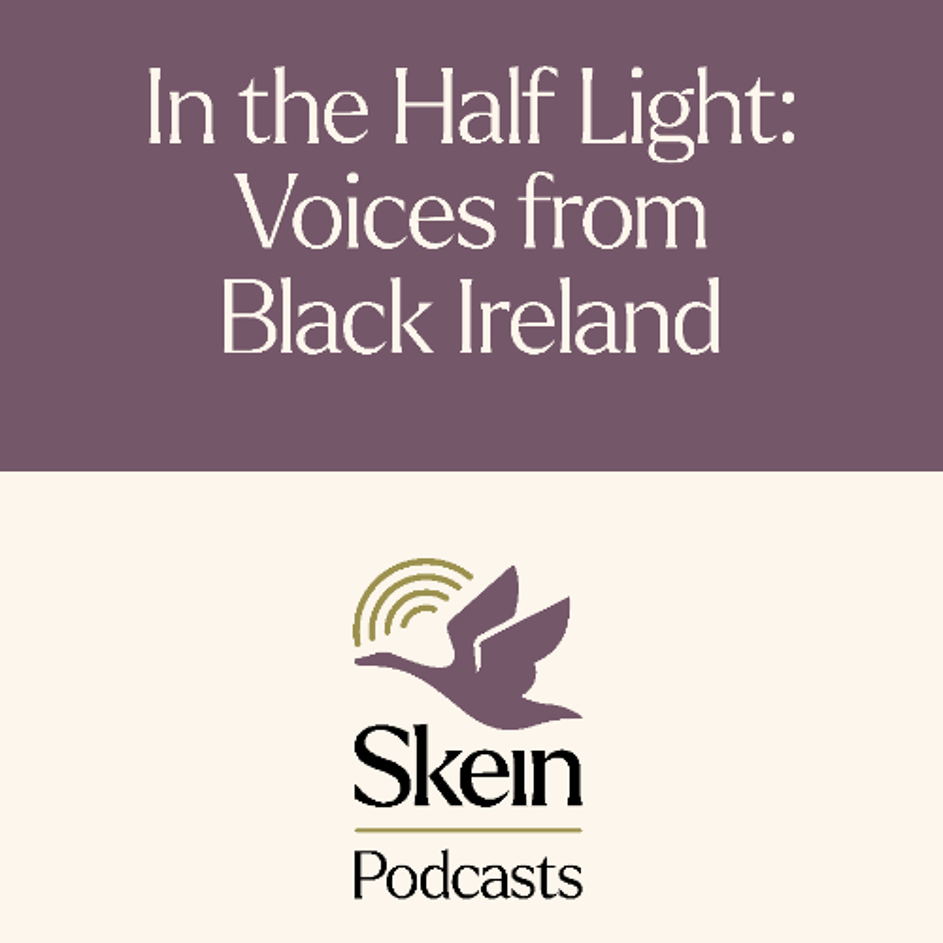 In the Half Light: Voices from Black Ireland episode artwork