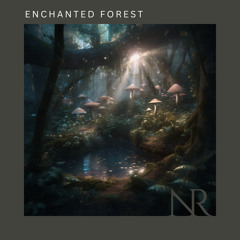 Enchanted Forest