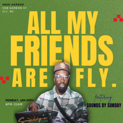 ''All My Friends are Fly'' Mix 1/20/25