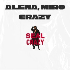 Seal - Crazy (Alena, Miro Edit)