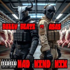 BullY BeatZ & ASAS - Mad Mind Mix