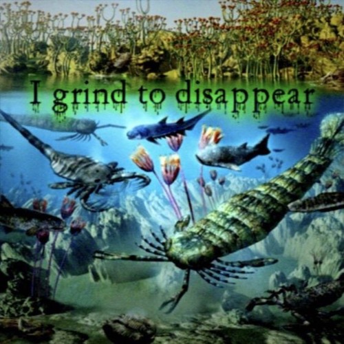 I Grind To Disappear_20240206