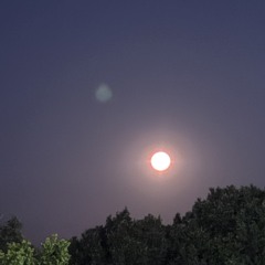 CHERRY KUSH |/| SHOO X TEC TAB