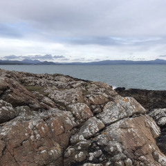 Another day - skip raiders (original)