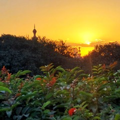 قَالَ رَبِّ إِنِّي ظَلَمْتُ نَفْسِي فَاغْفِرْ لِي