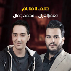 حالف لا ما انام