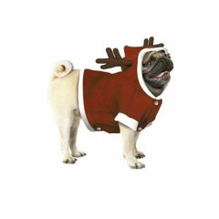 That Was the Worst Christmas Ever! (Cover)