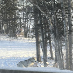 NEEDMORE Prod @jeanparkr