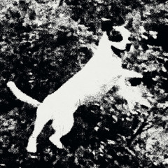 Edmondson - Every Night I Dream Of Catching Trains [Noire & Blanche]