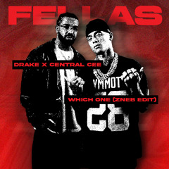 Drake x Central Cee - Which One (Zneb Edit)