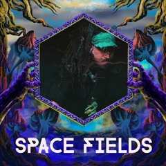 SPACE FIELDS - HIGHEST SELF - GONG 29.1 WINTER RAVE