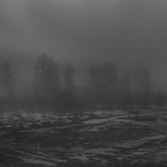 the future is bleak (trimmed)