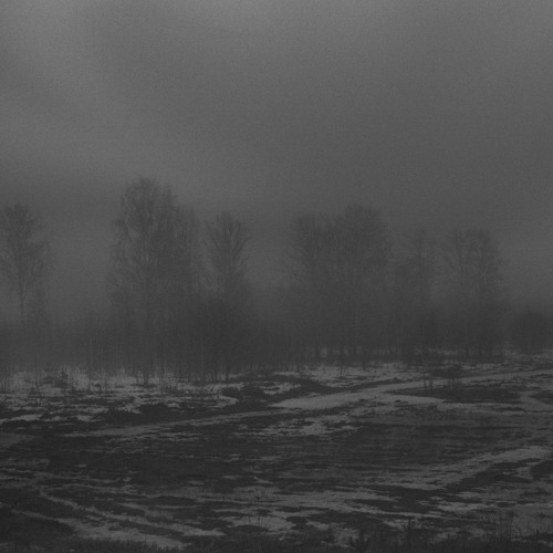 the future is bleak (trimmed)