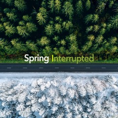 Spring Interrupted
