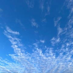 [Slow Burn Sunday Morning]