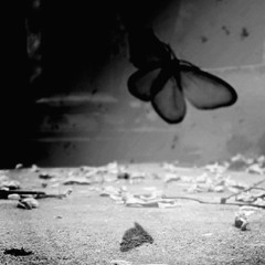 Haunted Chambers A