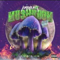 Mushroom Riddim Mixed By