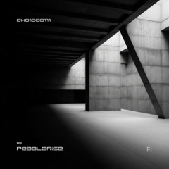 0x01000111 - Pebblerise