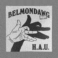 Belmondawg - Captcha (wiki224 remix)