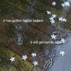 i only saw the potential