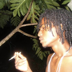 Exclu Scott 2