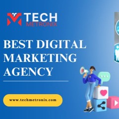 TechMetronix - Best - Digital - Marketing - Agency - In - Gurgaon