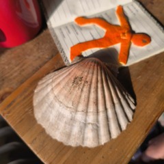 DIHHËL & EAT YOUR MIND  - LA SAINT JACQUE SE COMPOSE-T-ELLE ?