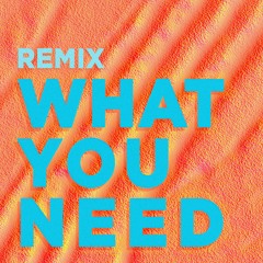 What You Need (Marc Brauner Remix)