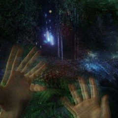 afterlife /w seishin