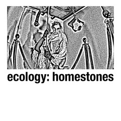 Ecology: HomeStones on Radio Alhara (sept 7)