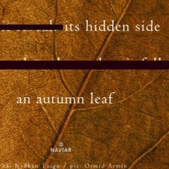 Its hidden side an autumn leaf(naviarhaiku506)